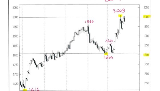 GOLD CASH ZOOM