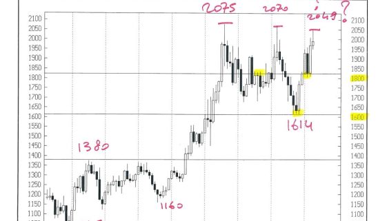 GOLD CASH MENSILE